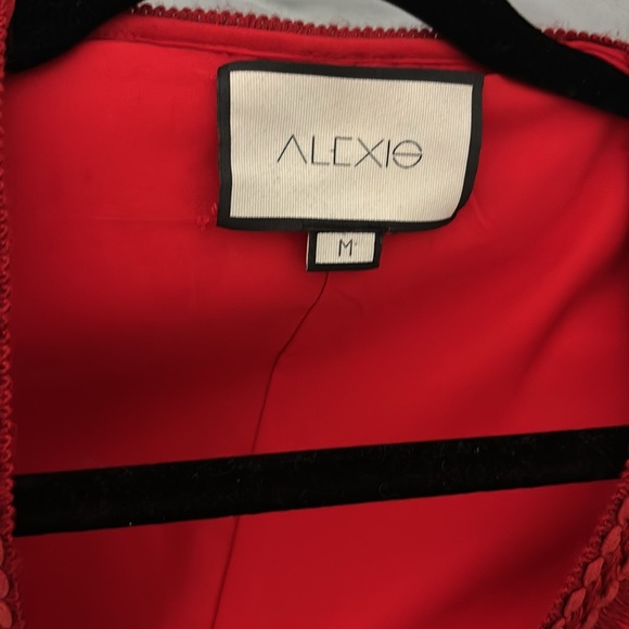 Alexis Lace Hook and Eye Blouse M - Picture 4 of 4